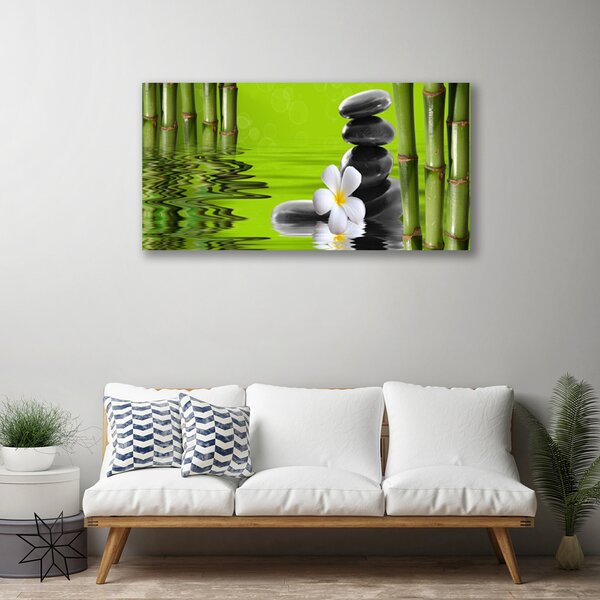 Obraz na plátne Bambus kamene rastlina 100x50 cm