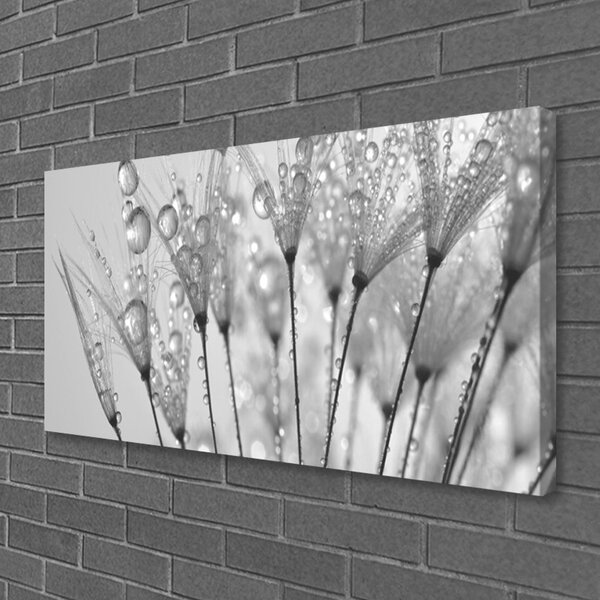 Obraz na plátne Púpava rastlina 100x50 cm