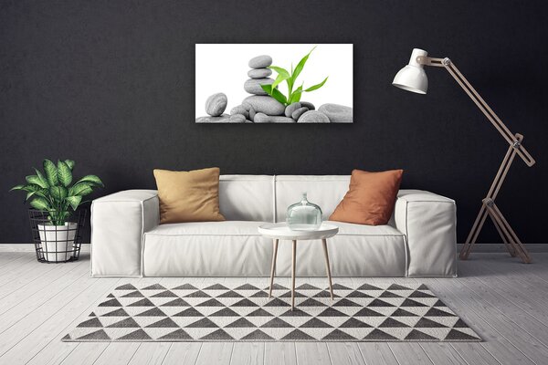 Obraz na plátne Kamene listy umenie 100x50 cm