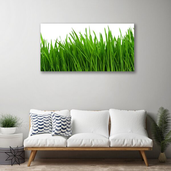 Obraz na plátne Tráva rastlina príroda 100x50 cm