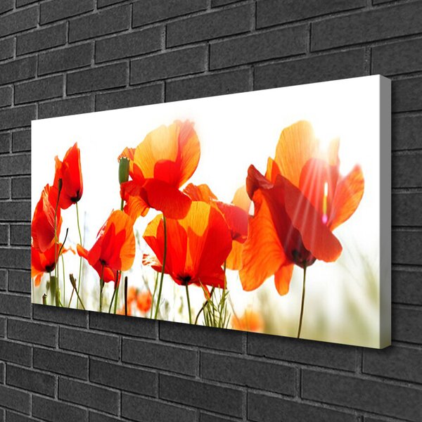 Obraz na plátne Maky rastlina príroda 100x50 cm