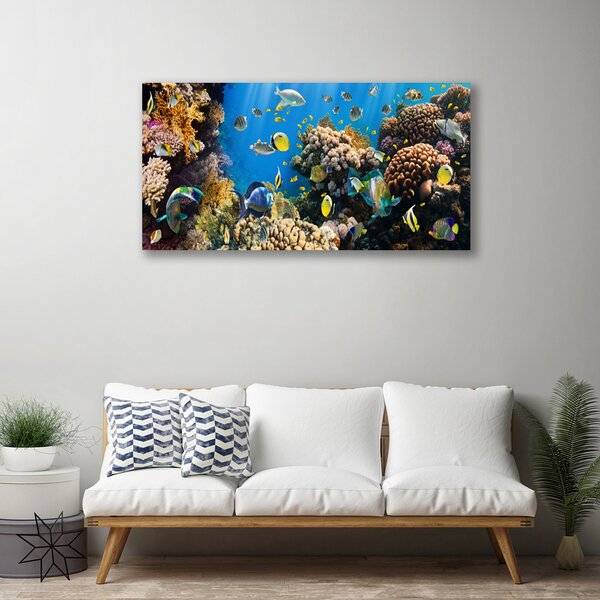 Obraz na plátne Koralový útes príroda 100x50 cm