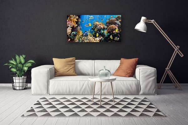 Obraz na plátne Koralový útes príroda 100x50 cm