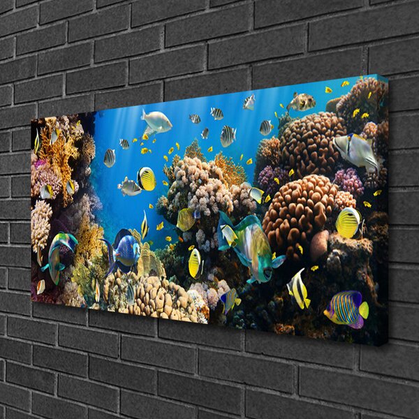 Obraz na plátne Koralový útes príroda 100x50 cm