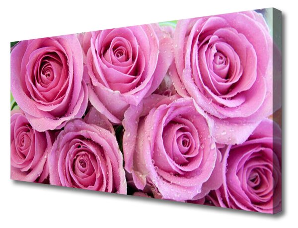 Obraz na plátne Ruže kvety rastlina 100x50 cm