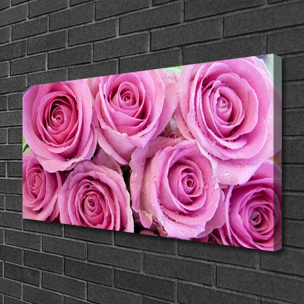 Obraz na plátne Ruže kvety rastlina 100x50 cm