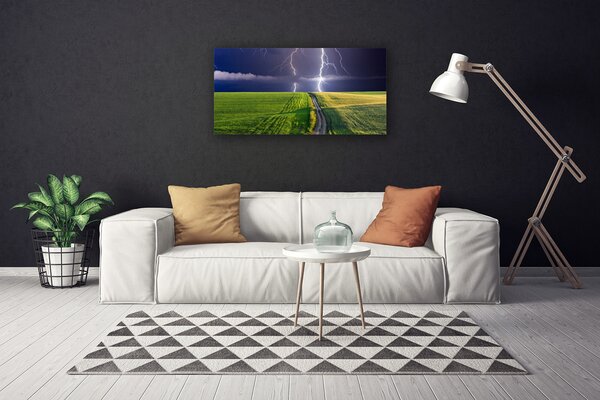 Obraz na plátne Pole blesk krajina 100x50 cm