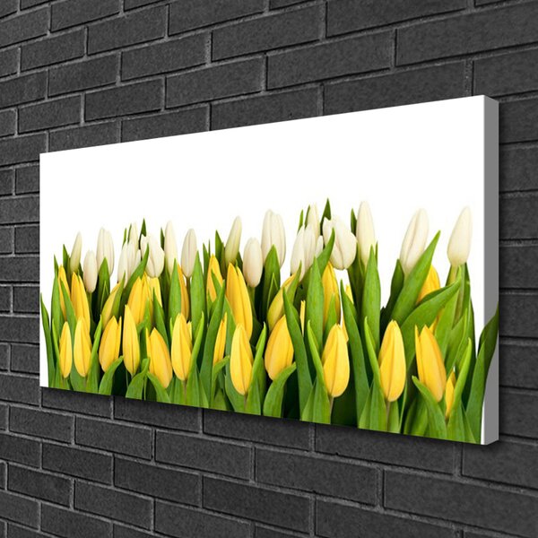 Obraz na plátne Tulipány kvety rastlina 100x50 cm