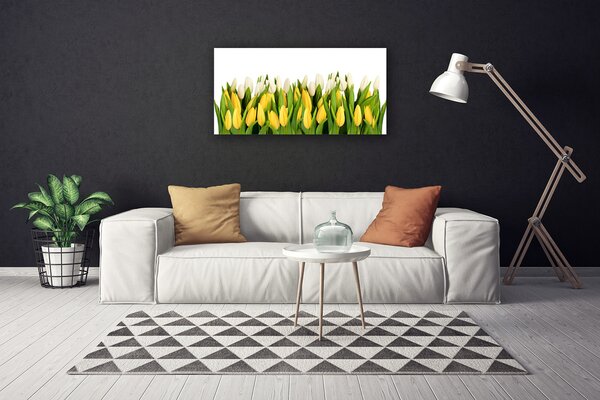 Obraz na plátne Tulipány kvety rastlina 100x50 cm