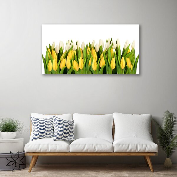 Obraz na plátne Tulipány kvety rastlina 100x50 cm