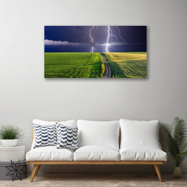 Obraz na plátne Pole blesk krajina 100x50 cm