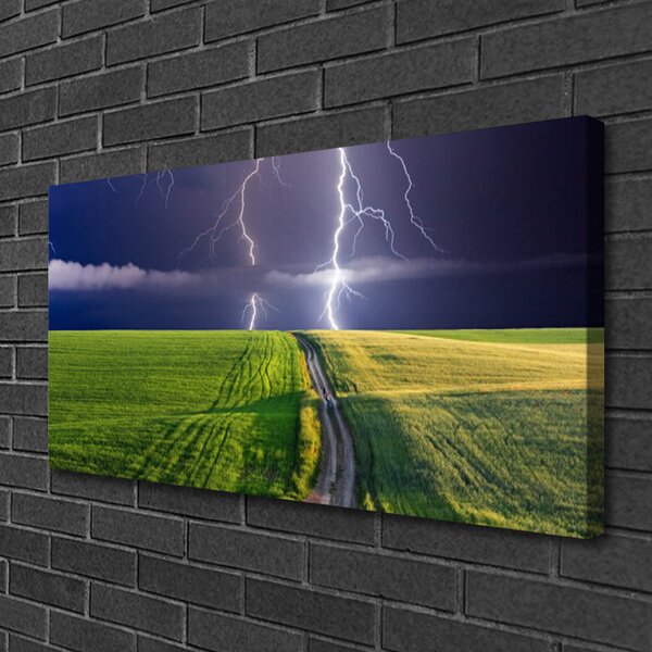 Obraz na plátne Pole blesk krajina 100x50 cm