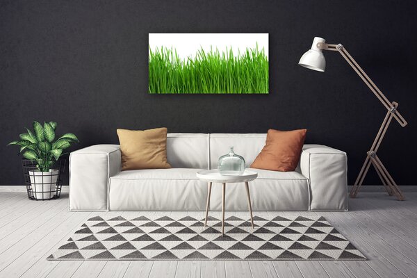 Obraz na plátne Tráva rastlina príroda 100x50 cm