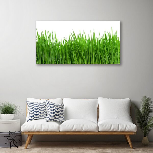 Obraz na plátne Tráva rastlina príroda 100x50 cm