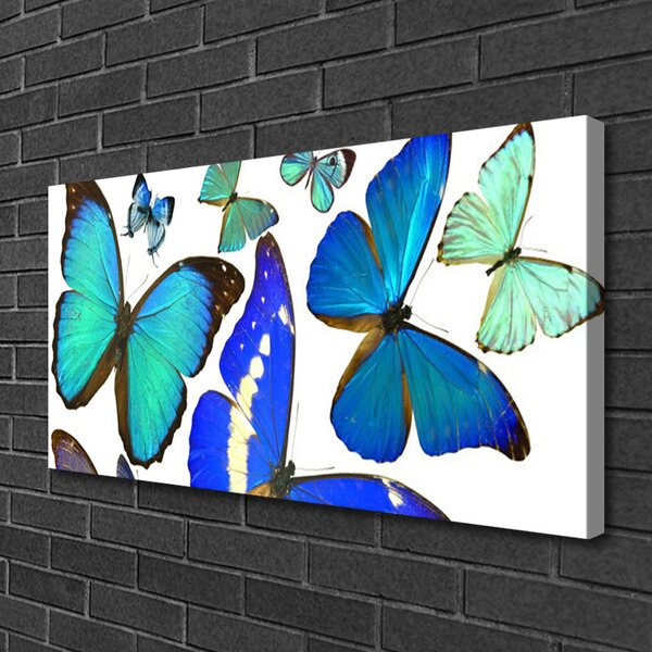 Obraz na plátne Motýle príroda 100x50 cm