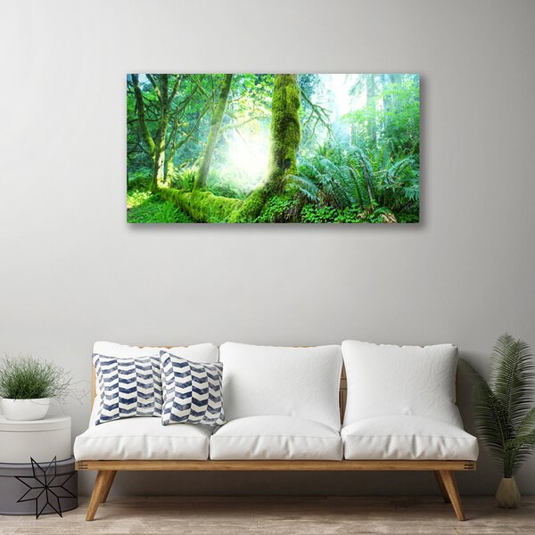 Obraz na plátne Les príroda 100x50 cm