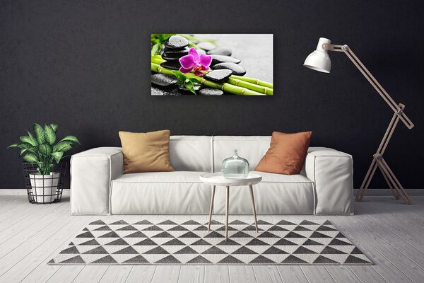 Obraz na plátne Bambus kvet kamene umenie 100x50 cm