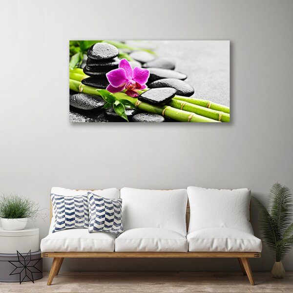 Obraz na plátne Bambus kvet kamene umenie 100x50 cm