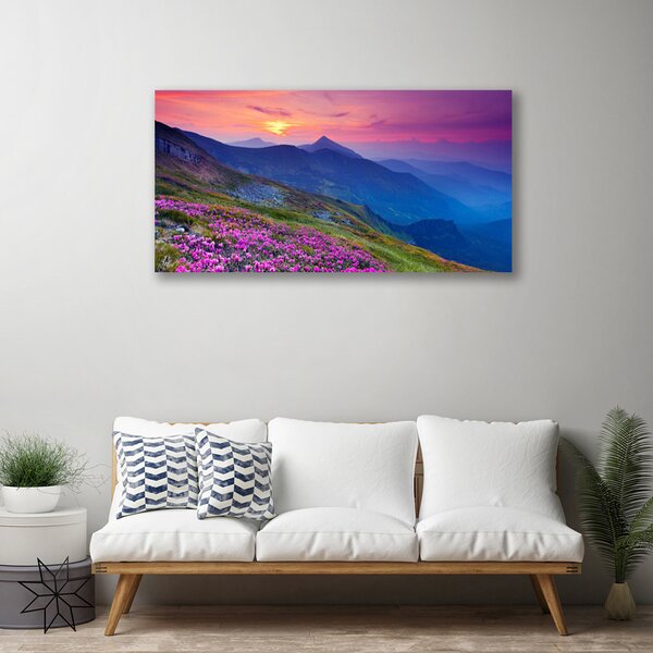Obraz na plátne Hory lúka kvety príroda 100x50 cm