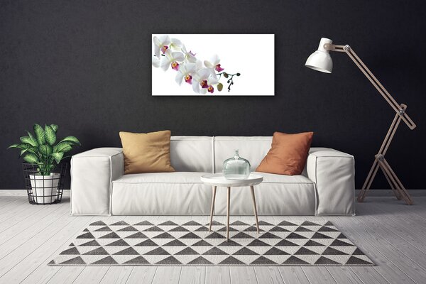 Obraz na plátne Kvety rastlina príroda 100x50 cm
