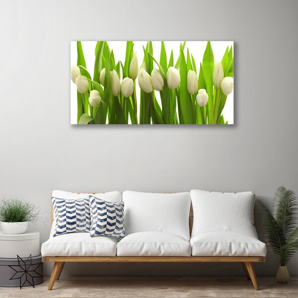 Obraz na plátne Tulipány kvety rastlina 100x50 cm