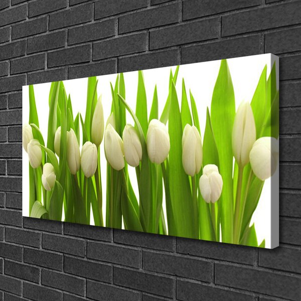 Obraz na plátne Tulipány kvety rastlina 100x50 cm