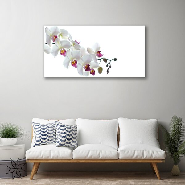 Obraz na plátne Kvety rastlina príroda 100x50 cm