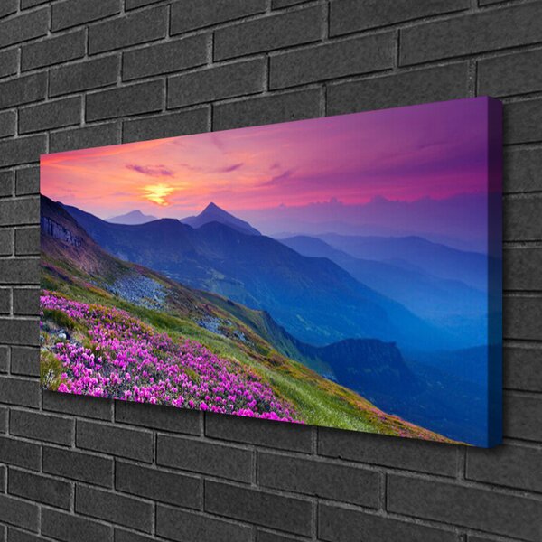 Obraz na plátne Hory lúka kvety príroda 100x50 cm
