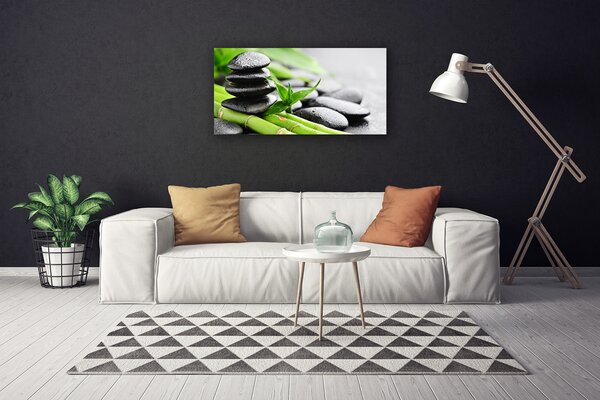 Obraz na plátne Bambus kamene rastlina 100x50 cm