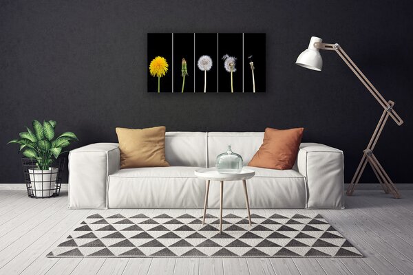 Obraz na plátne Púpava rastlina 100x50 cm