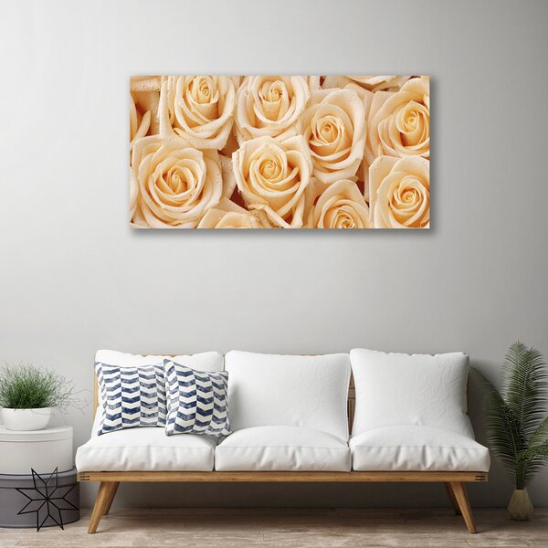 Obraz na plátne Ruže kvety rastlina 100x50 cm
