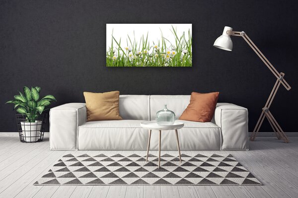 Obraz na plátne Tráva sedmokrásky príroda 100x50 cm