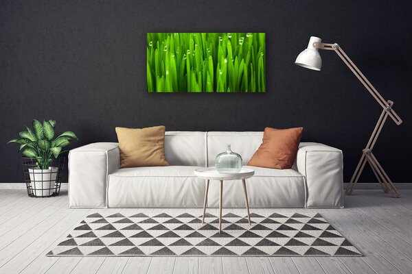 Obraz na plátne Tráva príroda rastlina 100x50 cm