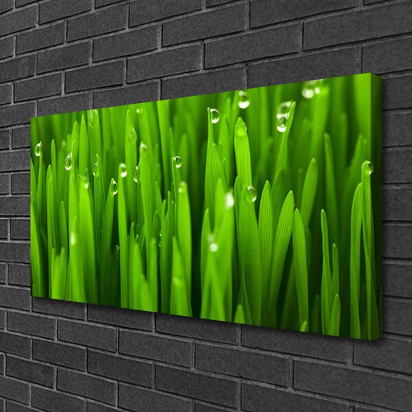 Obraz na plátne Tráva príroda rastlina 100x50 cm