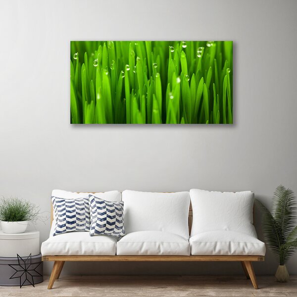 Obraz na plátne Tráva príroda rastlina 100x50 cm