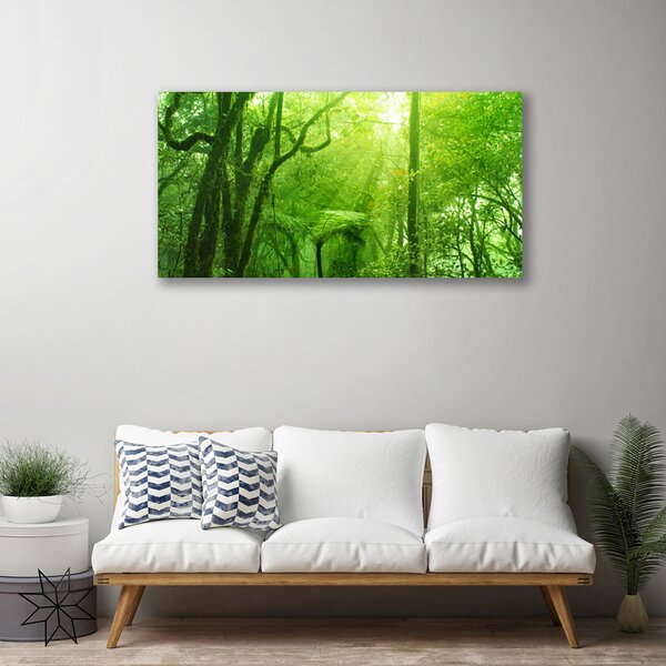 Obraz na plátne Stromy príroda 100x50 cm