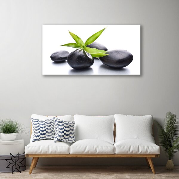 Obraz na plátne Kamene listy umenie 100x50 cm