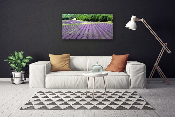 Obraz na plátne Lúka kvety príroda 100x50 cm