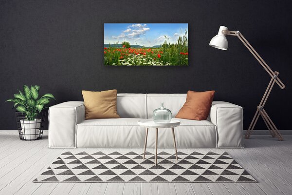 Obraz Canvas Lúka kvety príroda 100x50 cm