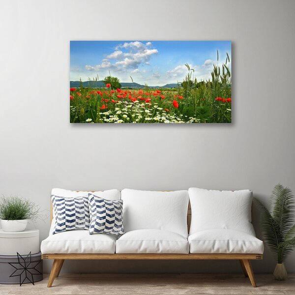 Obraz Canvas Lúka kvety príroda 100x50 cm