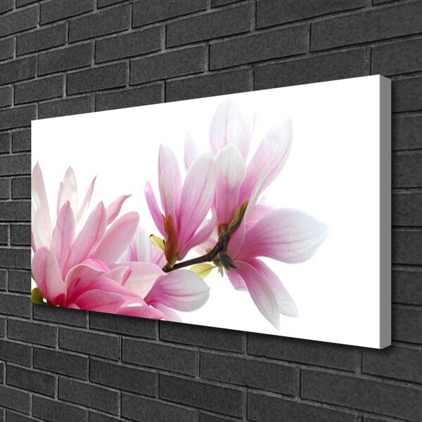 Obraz na plátne Magnolie kvet 100x50 cm
