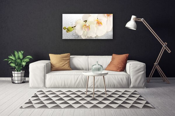 Obraz na plátne Kvety 100x50 cm