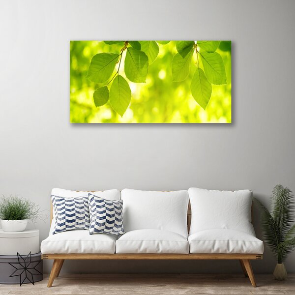 Obraz na plátne Listy 100x50 cm