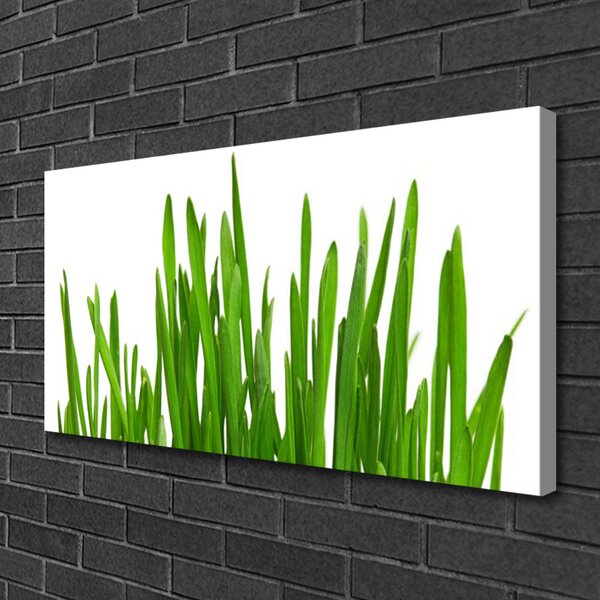 Obraz na plátne Tráva 100x50 cm