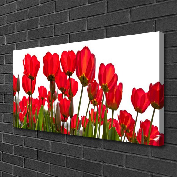 Obraz na plátne Kvety 100x50 cm
