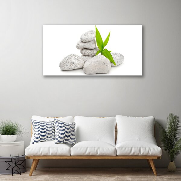 Obraz na plátne Kamene príroda 100x50 cm