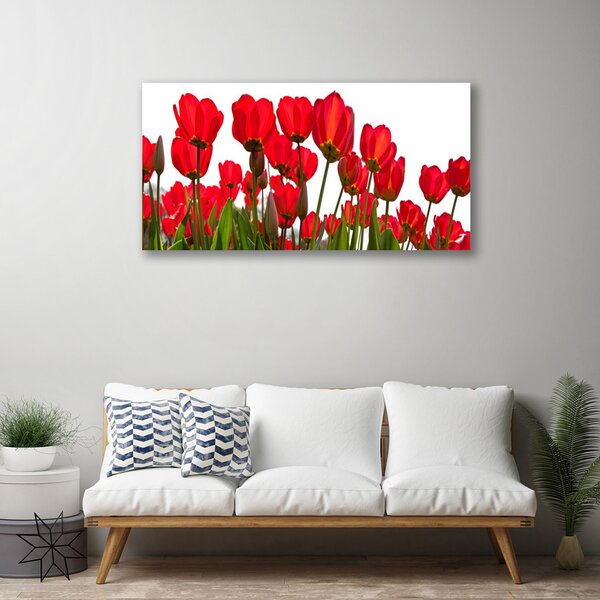 Obraz na plátne Kvety 100x50 cm