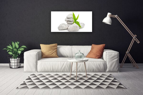 Obraz na plátne Kamene príroda 100x50 cm