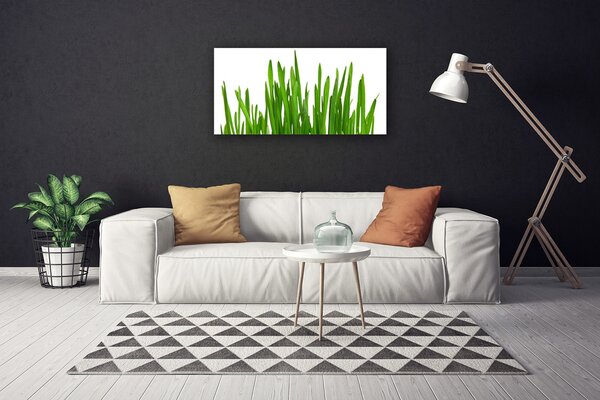 Obraz na plátne Tráva 100x50 cm
