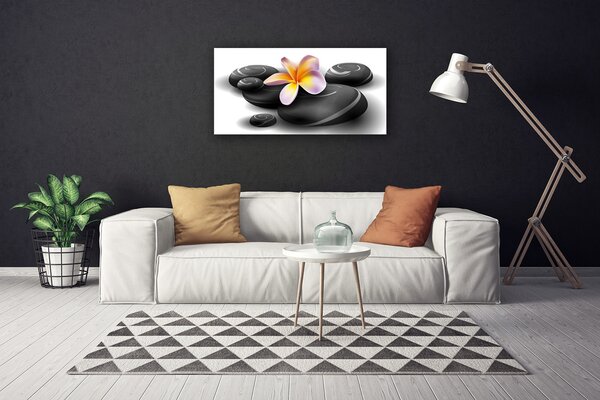 Obraz na plátne Kvety kamene príroda 100x50 cm